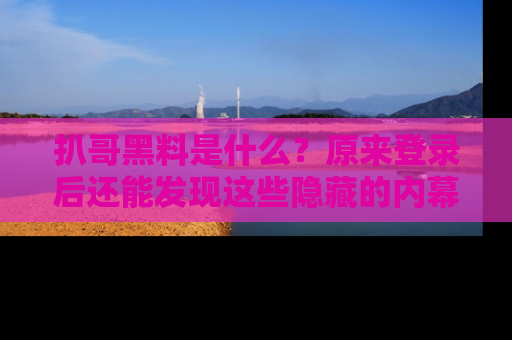 扒哥黑料是什么?原来登录后还能发现这些隐藏的内幕!