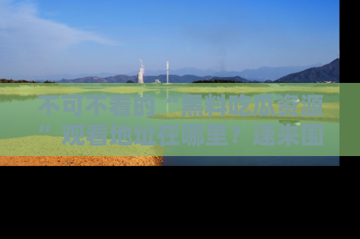 不可不看的“黑料吃瓜资源”观看地址在哪里?速来围观吧!
