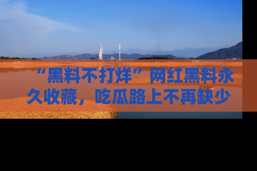 “黑料不打烊”网红黑料永久收藏，吃瓜路上不再缺少惊喜与乐趣