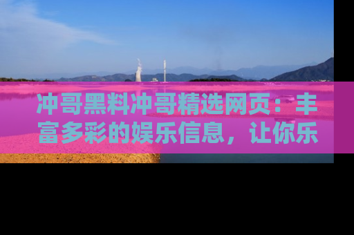 冲哥黑料冲哥精选网页：丰富多彩的娱乐信息，让你乐不停息