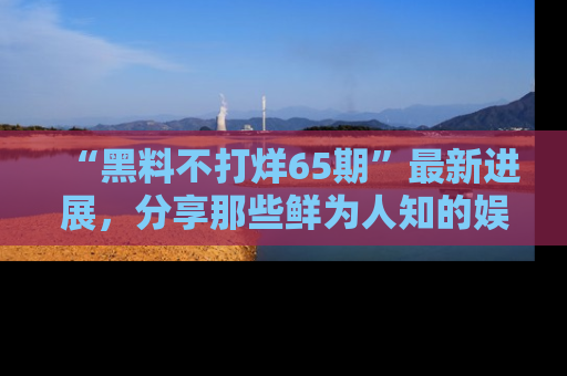 “黑料不打烊65期”最新进展，分享那些鲜为人知的娱乐八卦