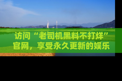 访问“老司机黑料不打烊”官网，享受永久更新的娱乐八卦和内幕新闻！