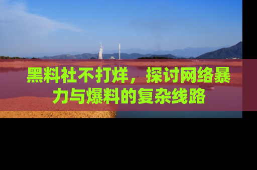 黑料社不打烊，探讨网络暴力与爆料的复杂线路