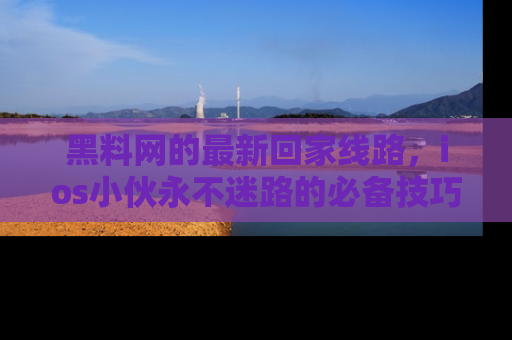 黑料网的最新回家线路，ios小伙永不迷路的必备技巧！