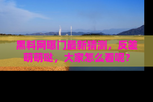 黑料网曝门最新猜测，反差萌萌哒，大家怎么看呢？