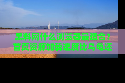 黑料网什么浏览器最适合？首页资源加载速度比乌龟还慢的体验真心吐槽！