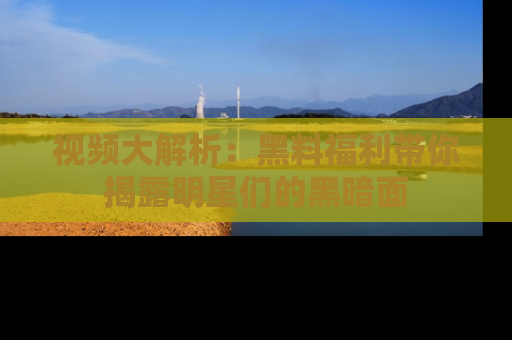视频大解析：黑料福利带你揭露明星们的黑暗面