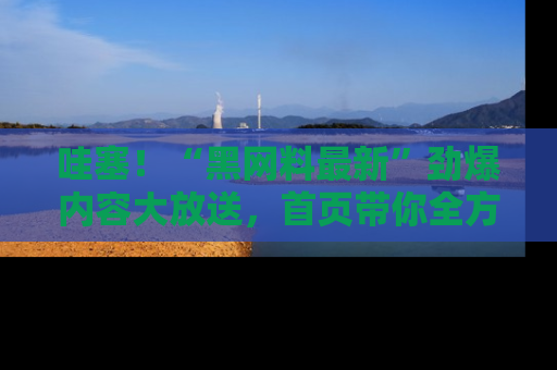 哇塞！“黑网料最新”劲爆内容大放送，首页带你全方位了解哦，小可爱们